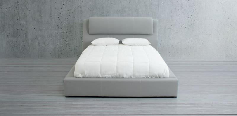 JOYCE CAMA Q.S. RINO GRIS