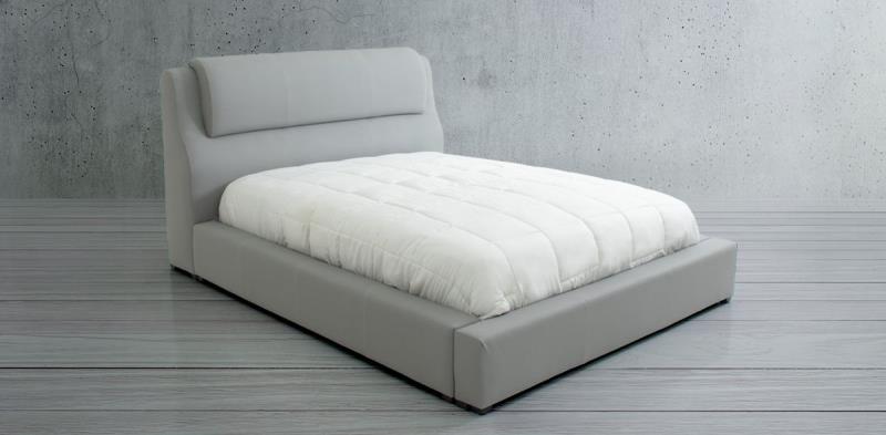 JOYCE CAMA Q.S. RINO GRIS