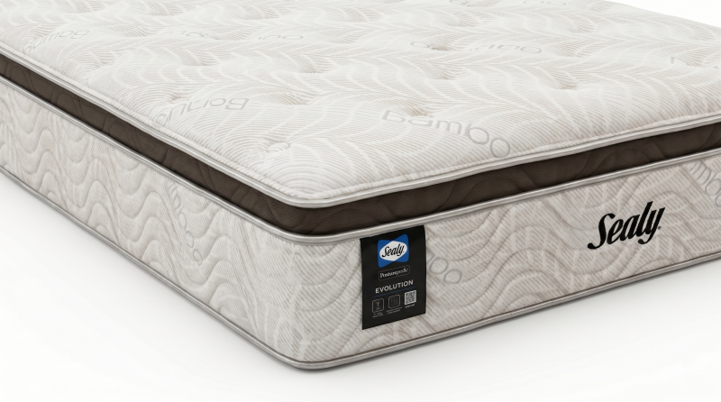 CHAD COLCHON MATRIMONIAL EVOLUTION 450 FIRME CFEPT 32 CM 53072540