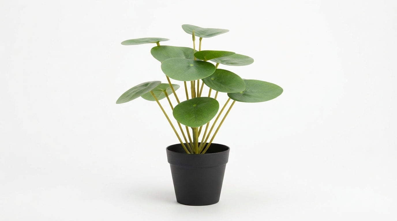CHINA DE DINERO PLANTA ARTIFICIAL EN MACETA