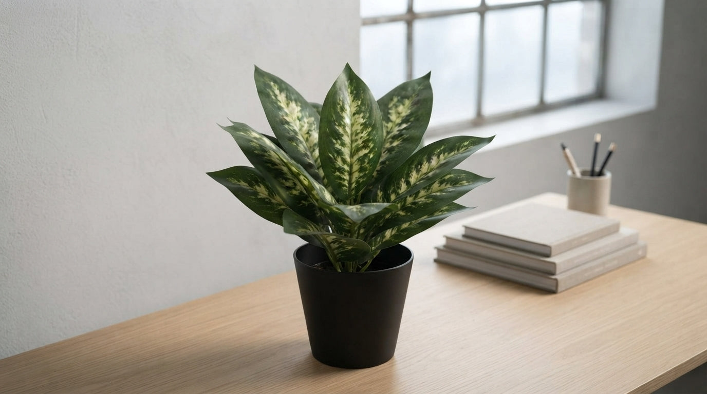DIEFFENBACHIA PLANTA ARTIFICIAL EN MACETA